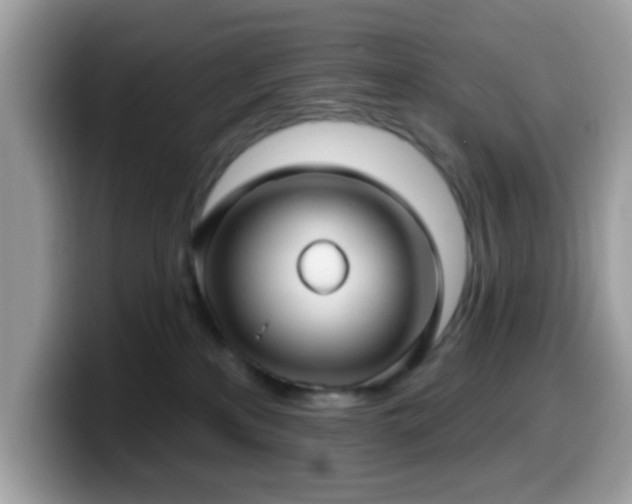 X0000099950233200805301242