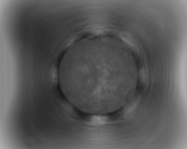 X0000099950234200805301242