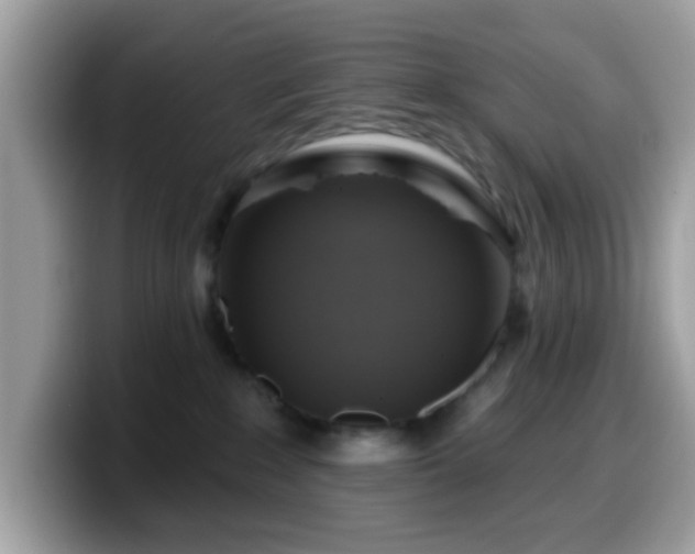 X0000099950235200805301242