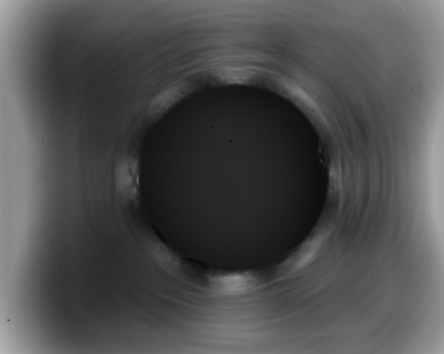 X0000099950237200805301242