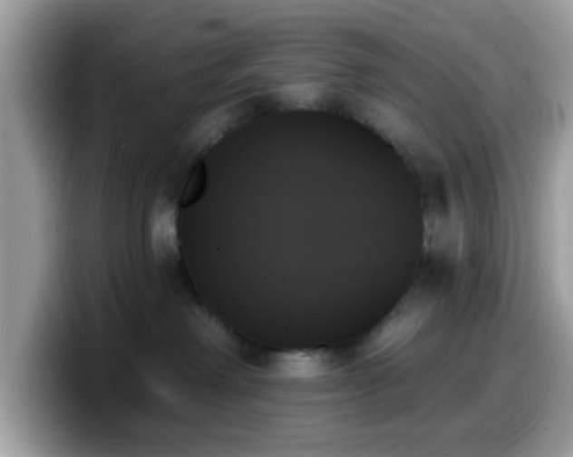 X0000099950238200805301242