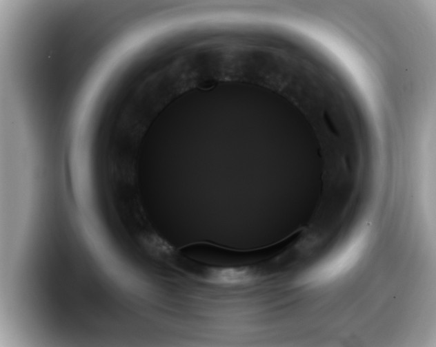 X0000099950239200805301242