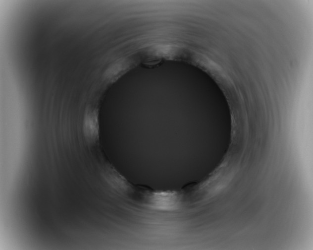 X0000099950240200805301242