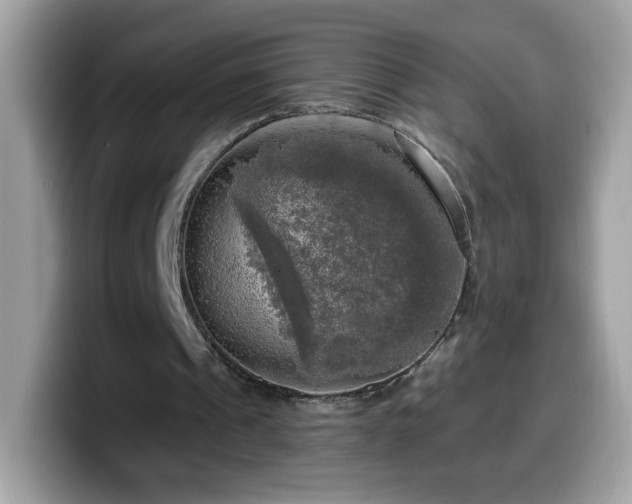 X0000099950241200805301241