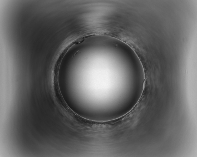 X0000099950242200805301241