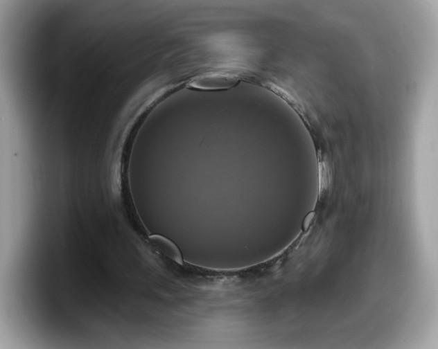 X0000099950243200805301241