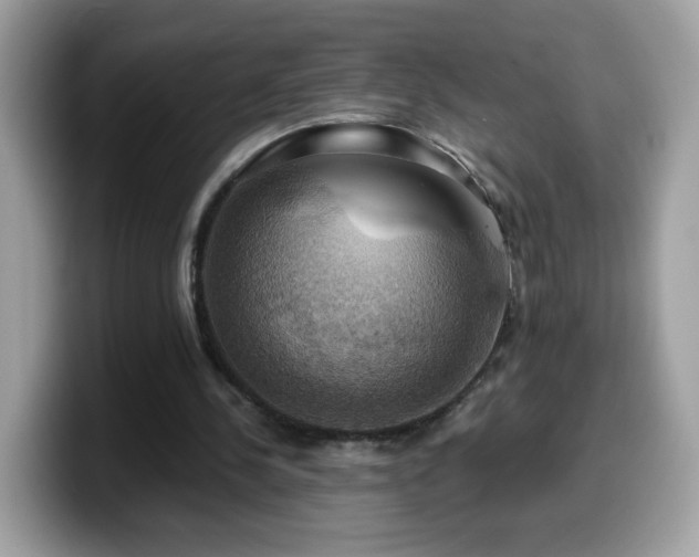 X0000099950244200805301241