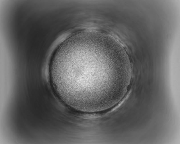 X0000099950245200805301241