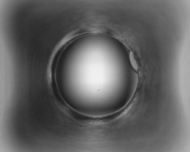 X0000099950246200805301241