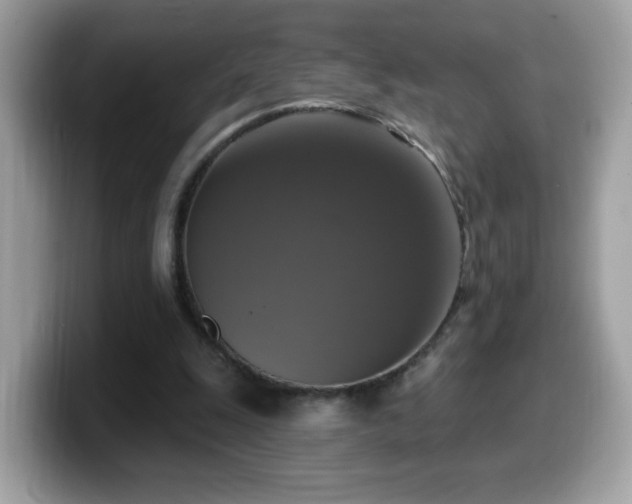 X0000099950247200805301241