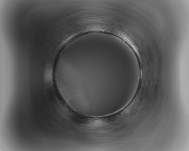 X0000099950249200805301241