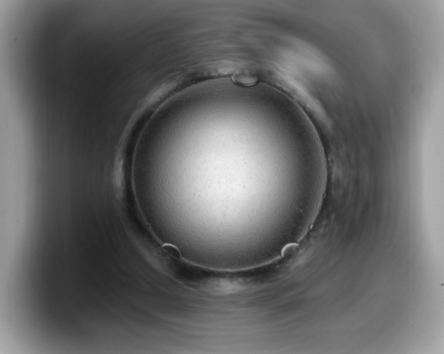 X0000099950250200805301241
