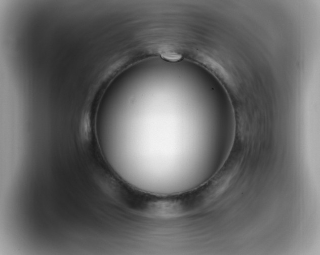 X0000099950251200805301241