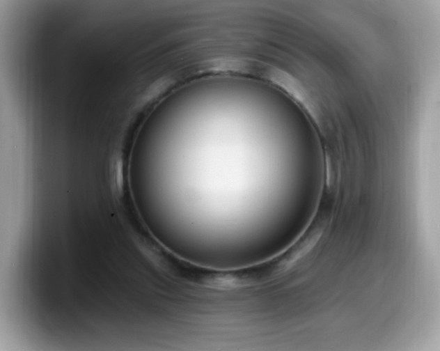 X0000099950253200805301241