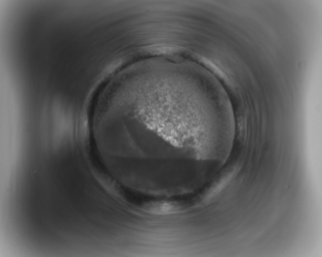 X0000099950254200805301241