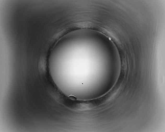 X0000099950255200805301241