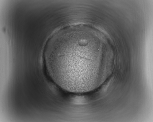 X0000099950256200805301241