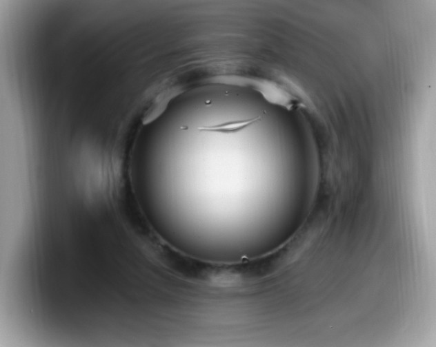 X0000099950258200805301241