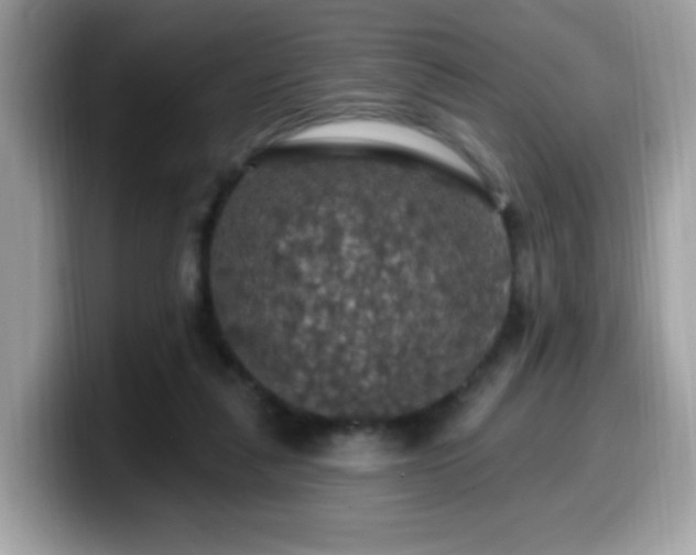 X0000099950259200805301241