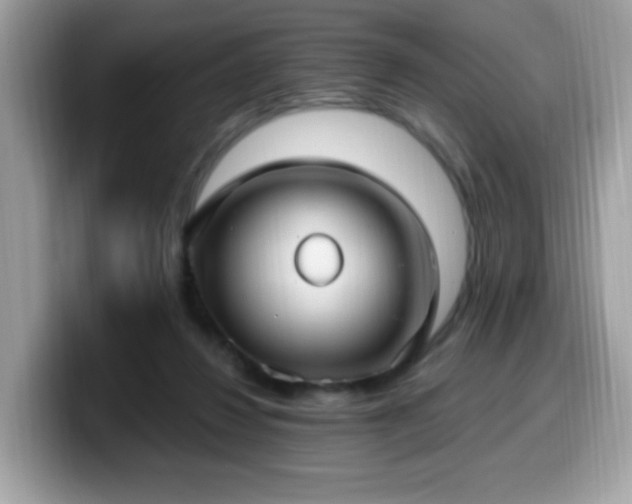 X0000099950260200805301241