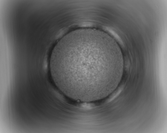 X0000099950261200805301241