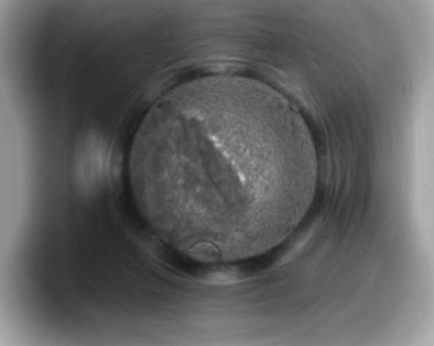 X0000099950263200805301241