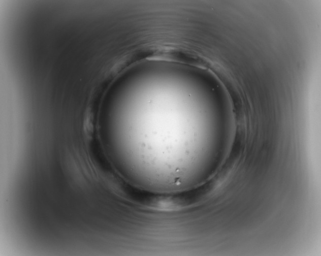 X0000099950264200805301242