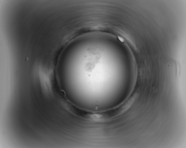 X0000099950265200805301242