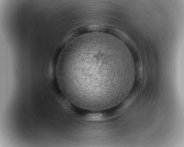 X0000099950266200805301242