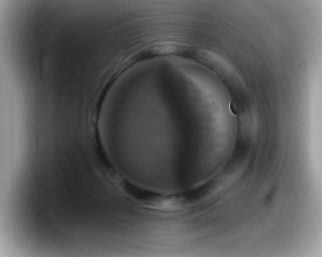 X0000099950267200805301242