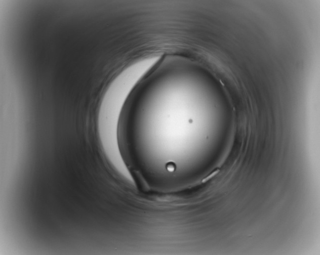 X0000099950268200805301242