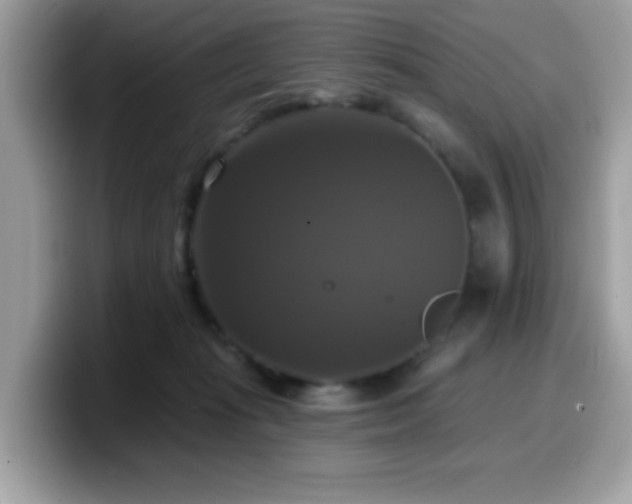 X0000099950269200805301242