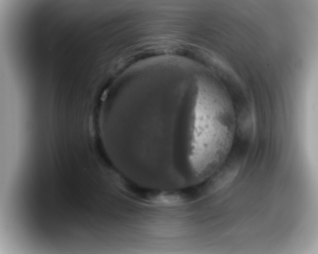 X0000099950270200805301242