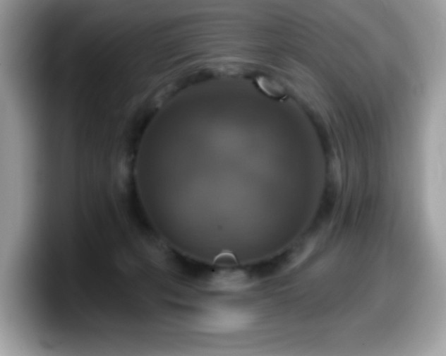 X0000099950271200805301242