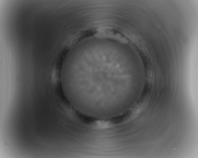 X0000099950272200805301242