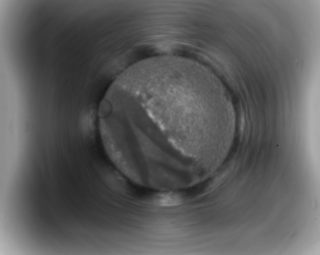 X0000099950275200805301242