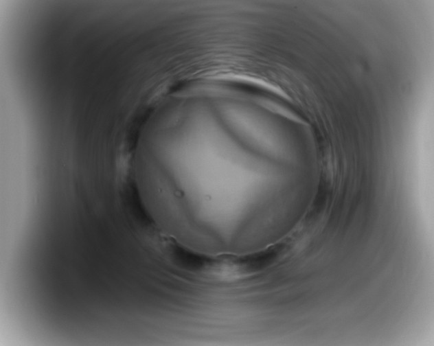 X0000099950276200805301242