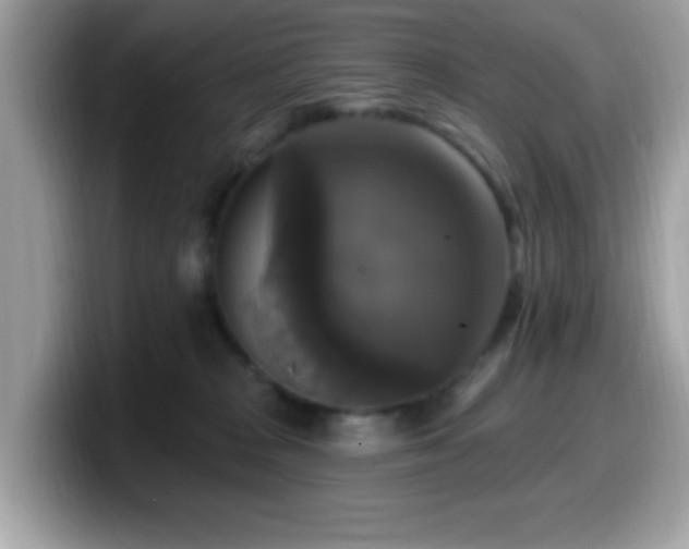 X0000099950277200805301242