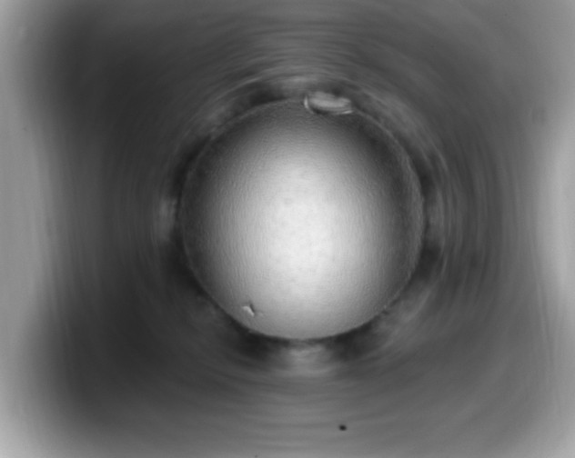 X0000099950278200805301242