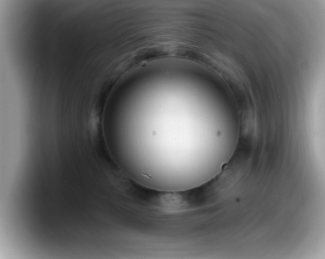 X0000099950279200805301242