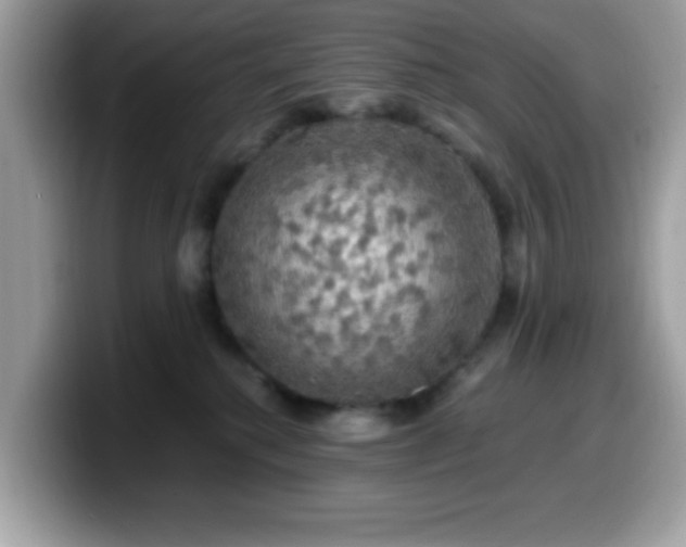 X0000099950280200805301242
