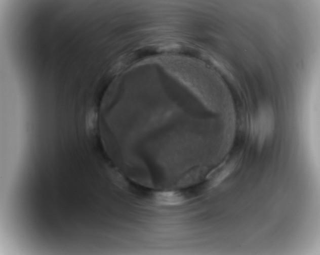 X0000099950281200805301242