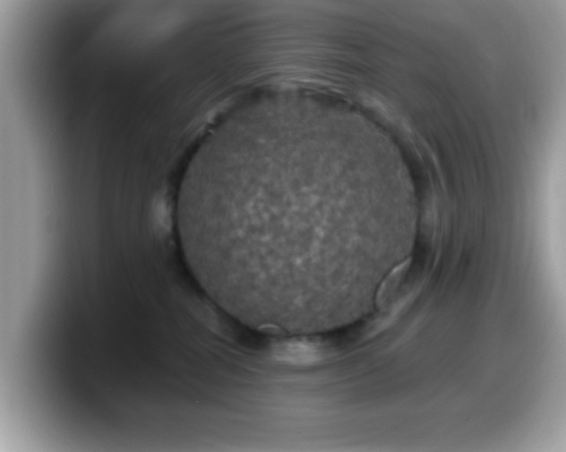 X0000099950282200805301242