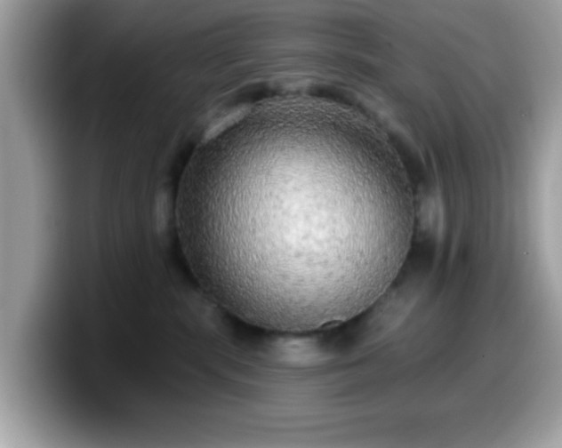 X0000099950283200805301242