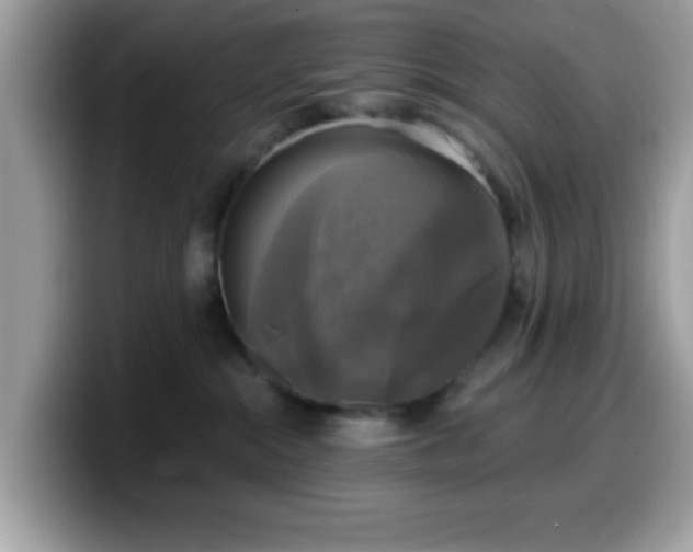 X0000099950284200805301242