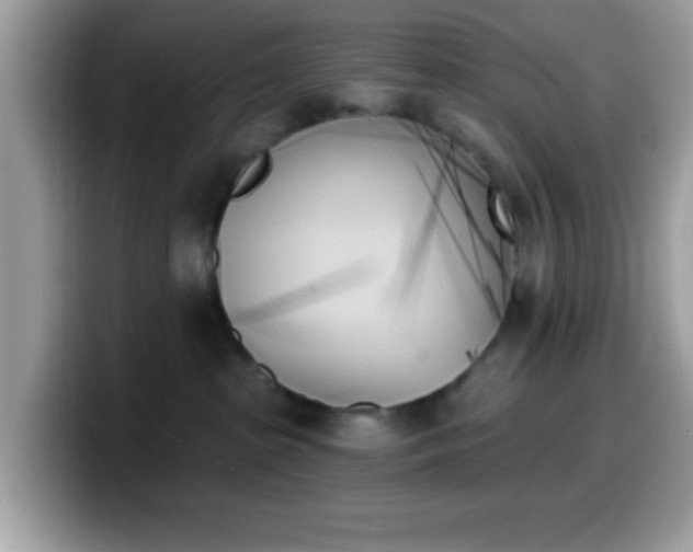 X0000099950285200805301242