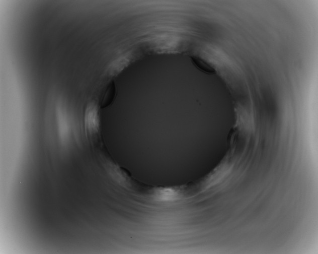 X0000099950287200805301242