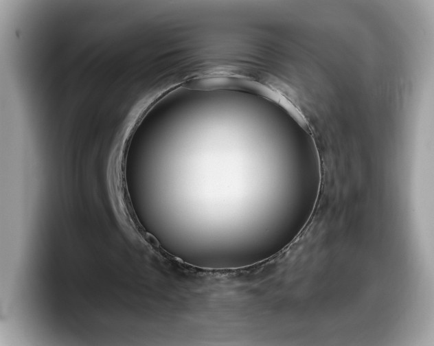X0000099950289200805301241