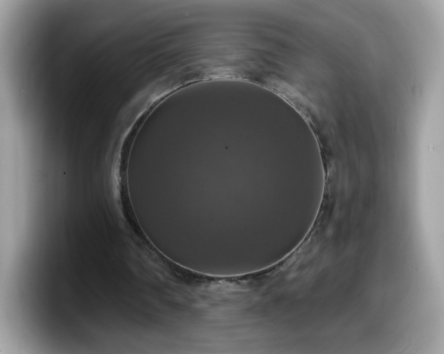 X0000099950290200805301241