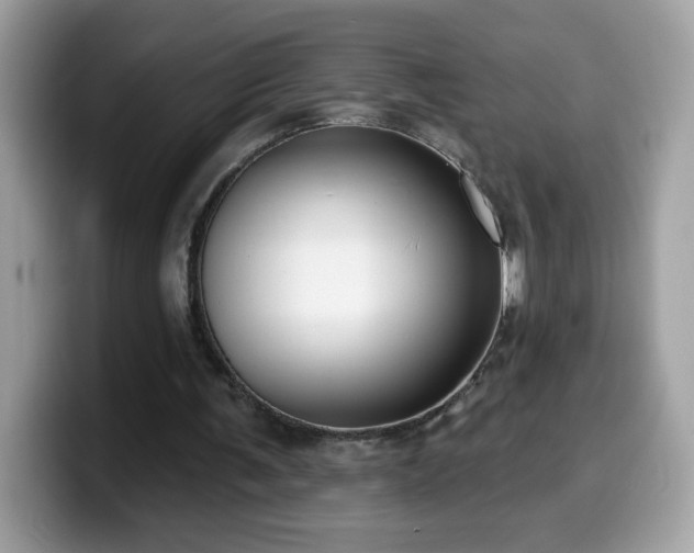 X0000099950291200805301241